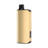 ALIBARBAR INGOT 9000 PUFFS – Cool Mint